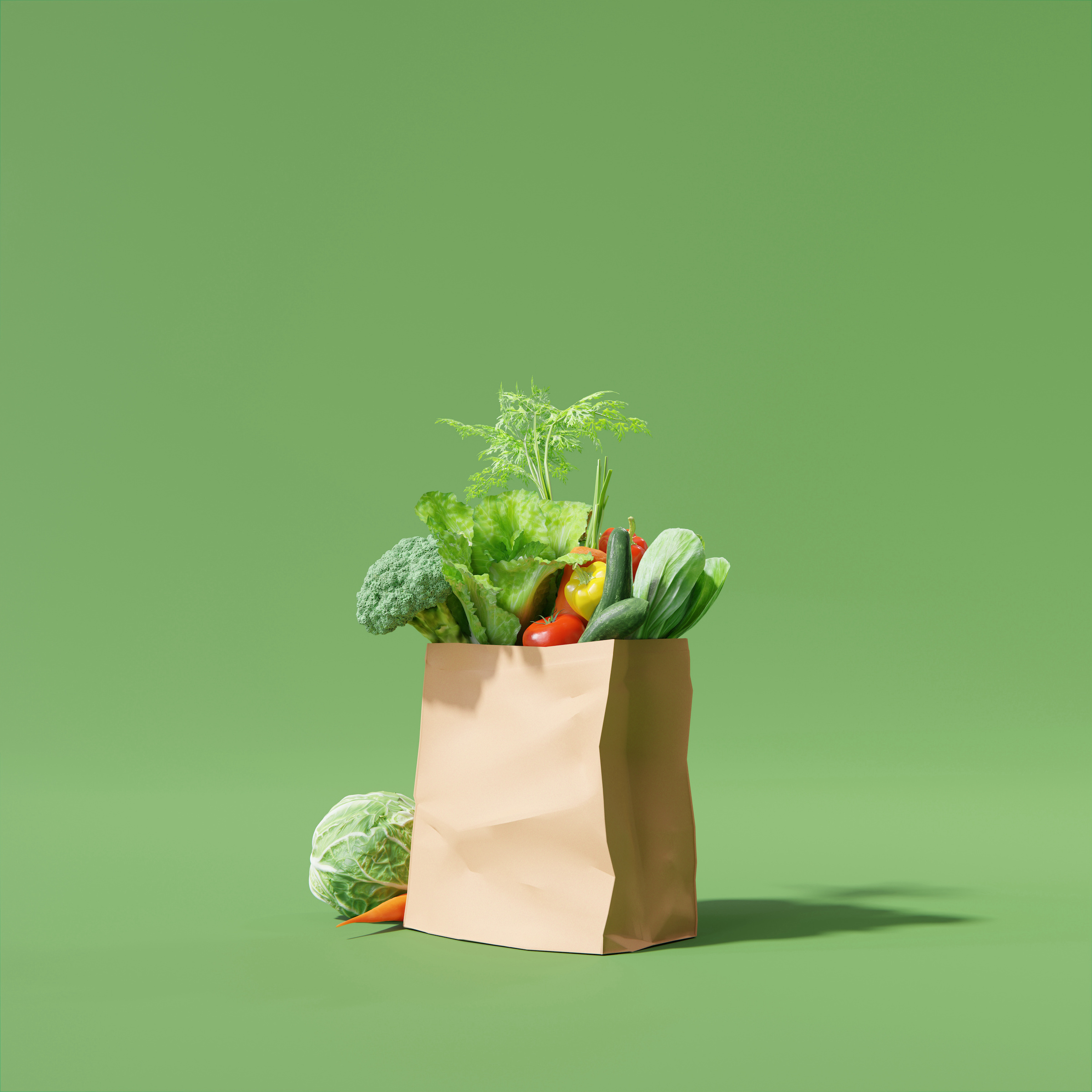 Projectgroepbijeenkomsten Leefstijl
